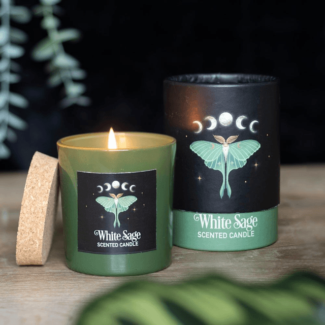 Bougie à la sauge blanche Luna Moth