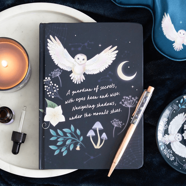 Journal de bord Night Owl avec stylo en sodalite
