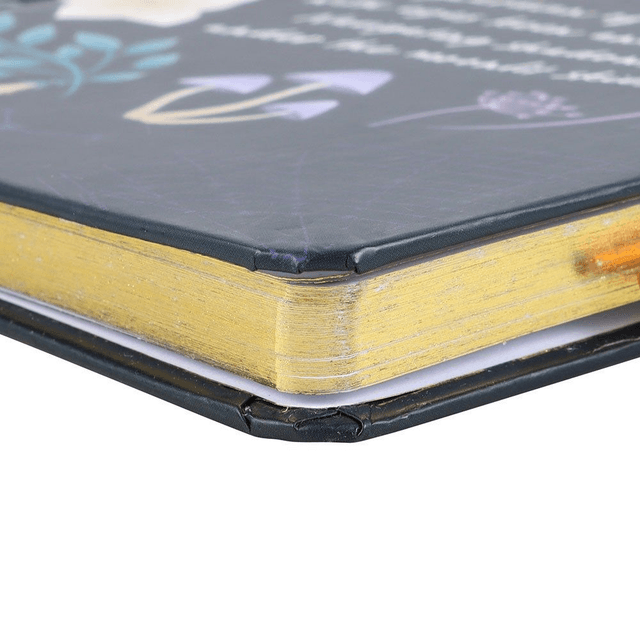 Journal de bord Night Owl avec stylo en sodalite