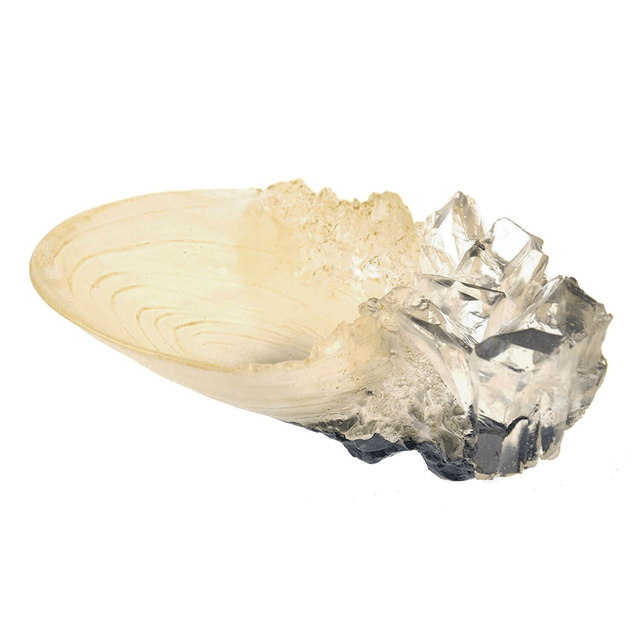 La Coupe de Cristal - Harry Potter