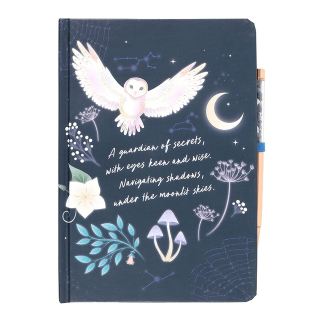 Journal de bord Night Owl avec stylo en sodalite