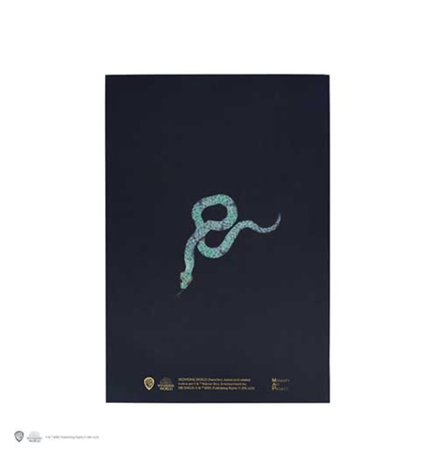 Carnet souple - Drago Malefoy Portrait