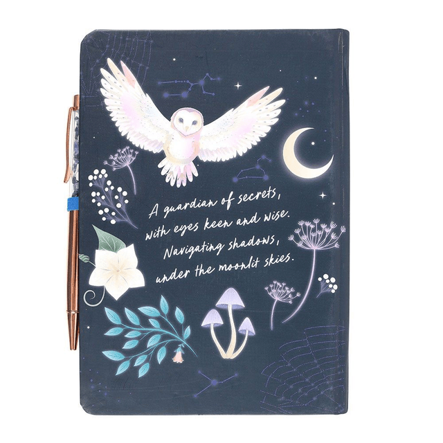 Journal de bord Night Owl avec stylo en sodalite