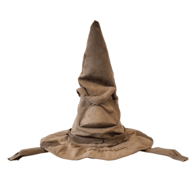 Choixpeau Harry Potter